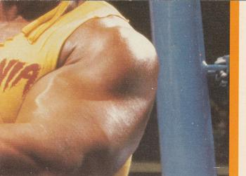 1987 Topps WWF - Stickers #18 Ken Patera  Back