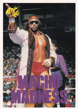 1990 Classic WWF #126 