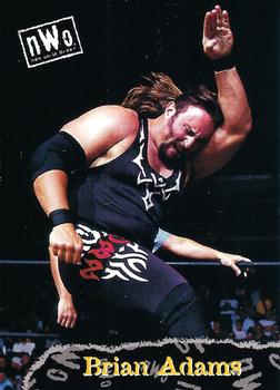 1998 Topps WCW/nWo #55 Brian Adams  Front