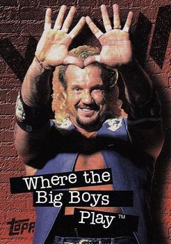 1998 Topps WCW/nWo - Promos #P4 Diamond Dallas Page  Front