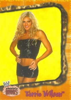 2002 Fleer WWE Absolute Divas #22 Torrie Wilson  Front