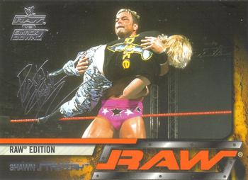 2002 Fleer WWE Raw vs. SmackDown #39 Shawn Stasiak  Front
