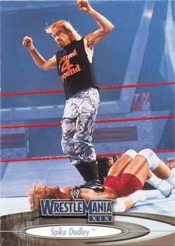 2003 Fleer WWE WrestleMania XIX #17 Spike Dudley  Front