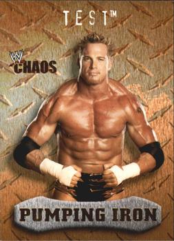 2004 Fleer WWE Chaos - Gold #90 Test Front