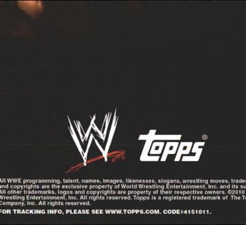 2010 Topps WWE - World Championship Material Puzzle Back #NNO Michelle McCool  Back