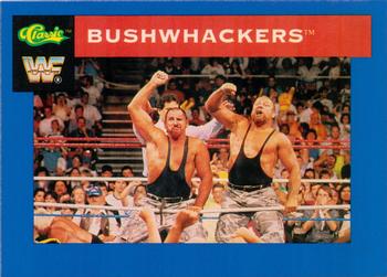 1991 Classic WWF Superstars #15 Bushwhackers Front