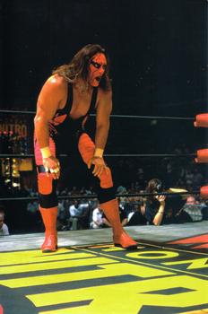 1998 Panini WCW/nWo Photocards #17 Sting Front