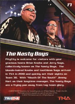 2010 TriStar TNA New Era #17 The Nasty Boys Back