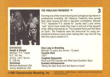 1991 Championship Marketing WCW #3 Michael Hayes Back