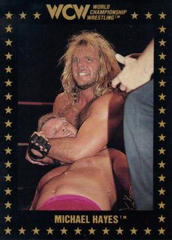 1991 Championship Marketing WCW #3 Michael Hayes Front