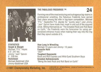 1991 Championship Marketing WCW #24 Michael Hayes Back