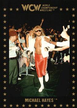 1991 Championship Marketing WCW #24 Michael Hayes Front