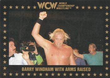 1991 Championship Marketing WCW #28 Barry Windham with Arms Raised Front
