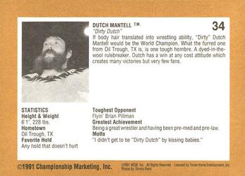 1991 Championship Marketing WCW #34 