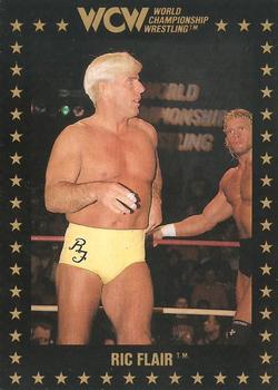 1991 Championship Marketing WCW #39 Ric Flair Front