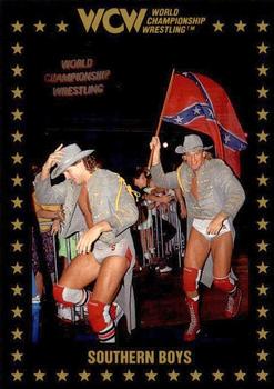 1991 Championship Marketing WCW #45 Southern Boys Front