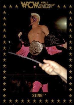 1991 Championship Marketing WCW #46 Sting Front