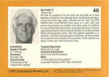 1991 Championship Marketing WCW #48 Arn, Paul E. and Ric Back