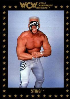 1991 Championship Marketing WCW #49 Sting Front