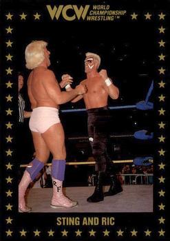 1991 Championship Marketing WCW #52 Sting and Ric Front