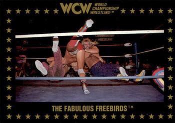 1991 Championship Marketing WCW #63 The Fabulous Freebirds Front