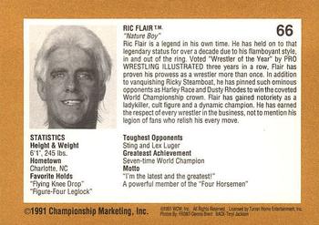 1991 Championship Marketing WCW #66 Ric, Jim and Sting Back