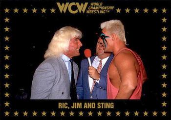 1991 Championship Marketing WCW #66 Ric, Jim and Sting Front