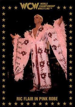 1991 Championship Marketing WCW #73 Ric Flair in Pink Robe Front