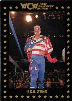 1991 Championship Marketing WCW #84 U.S.A. Sting Front