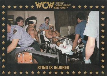 1991 Championship Marketing WCW #85 Sting is Injured Front