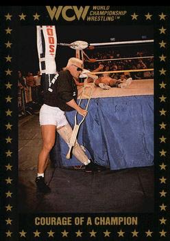 1991 Championship Marketing WCW #87 Courage of a Champion Front