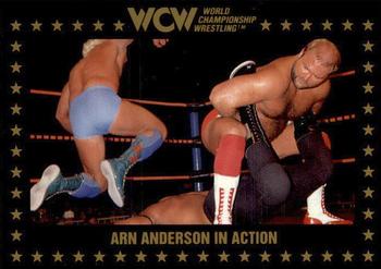 1991 Championship Marketing WCW #108 Arn Anderson in Action Front