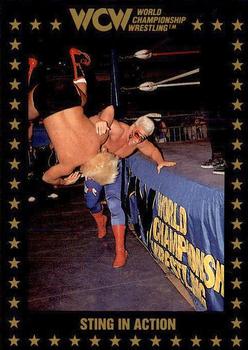 1991 Championship Marketing WCW #109 Sting in Action Front