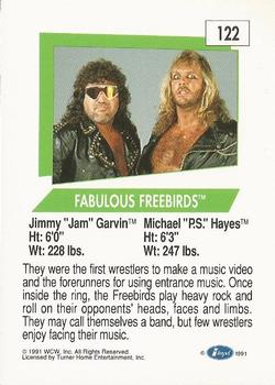 1991 Impel WCW #122 Fabulous Freebirds Back