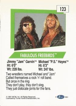 1991 Impel WCW #123 Fabulous Freebirds Back