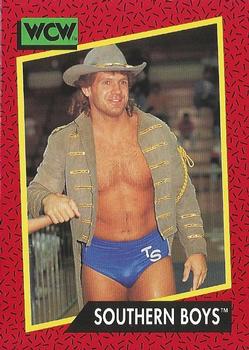 1991 Impel WCW #133 Southern Boys Front