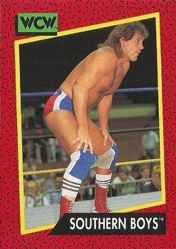 1991 Impel WCW #134 Southern Boys Front