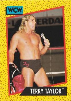 1991 Impel WCW #73 Terry Taylor Front