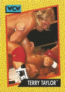 1991 Impel WCW #71 Terry Taylor Front