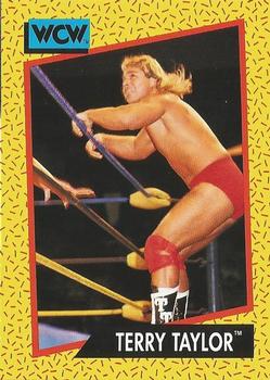 1991 Impel WCW #74 Terry Taylor Front
