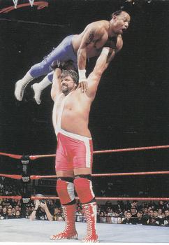 1998 Comic Images WWF Superstarz #36 