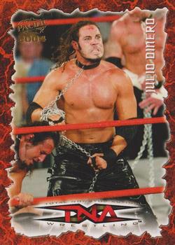2004 Pacific TNA #13 Julio Dinero Front