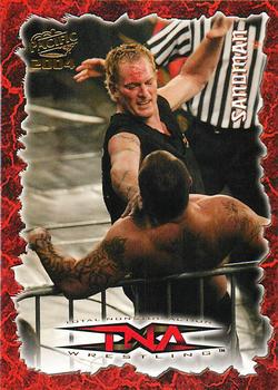 2004 Pacific TNA #39 Sandman Front