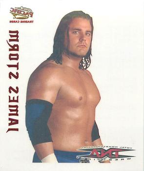 2004 Pacific TNA - Tattoos #13 James Storm Front