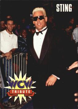 1995 Cardz WCW Main Event #81 Sting Front