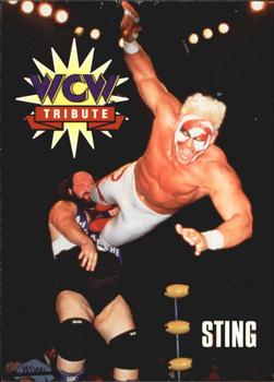 1995 Cardz WCW Main Event #82 Sting Front