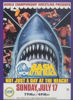 1995 Cardz WCW Main Event #93 WCW Bash at the Beach Front