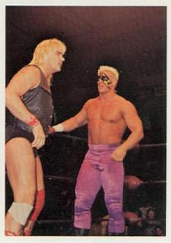 1988 Wonderama NWA #9 Barry Windham / Sting Front
