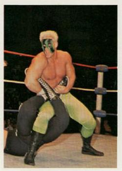 1988 Wonderama NWA #17 Sting Front