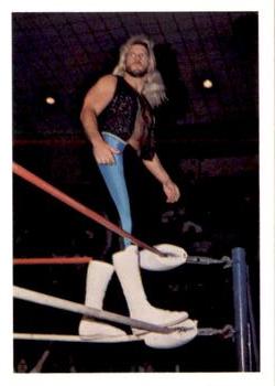 1988 Wonderama NWA #21 Michael Hayes Front